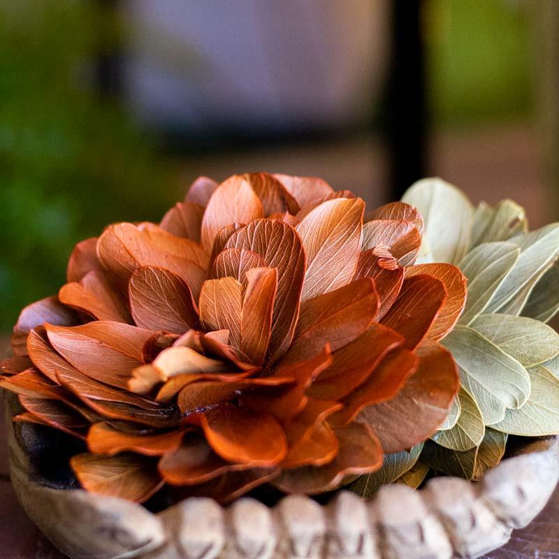 potpourri aromas cheiros perfumes ambientes antik sementes flores refrescancia dalia branca brasil decorativo amadeirado loja artesintonia 08