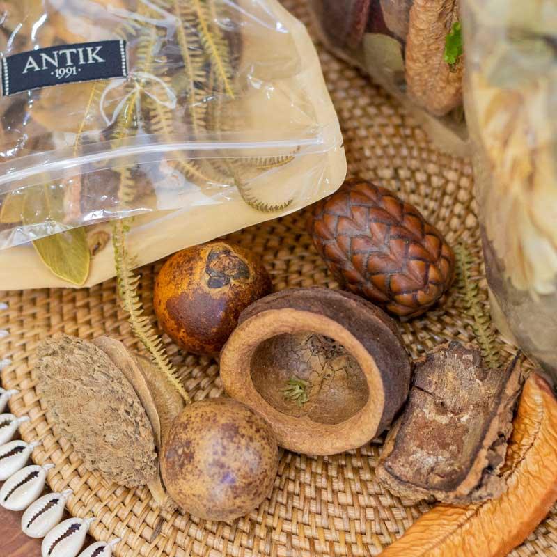 potpourri aromas cheiros perfumes ambientes antik sementes flores refrescancia dalia branca brasil decorativo amadeirado loja artesintonia 05