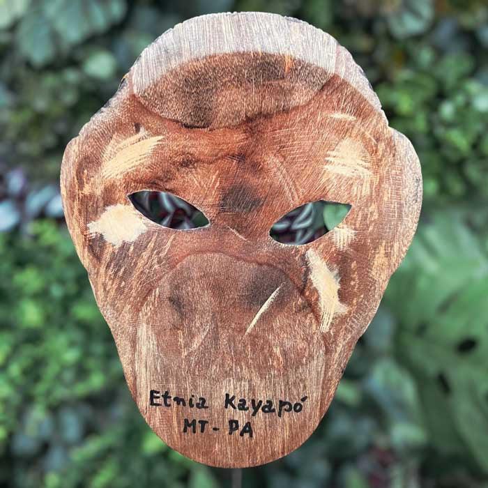 máscaras-de-madeira-arte-decorativa-arte-indigena-brasil-design-minas-gerais-prados-curral-cor-etnia-kayapo-7