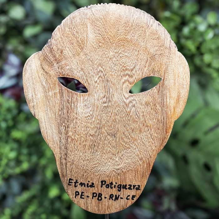 CR583-53-mascara-indigena-decorativa-etnia-potiguara-artesanato-brasileiro-curral-cor-minas-gerais-prados-madeira-decoracao-brasileira-design-autoral-loja-artesintonia-4