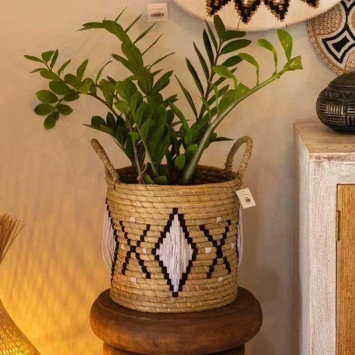 Cesto organizador utilizado como cachepot com planta Zamioculca em ambiente de luz quente.