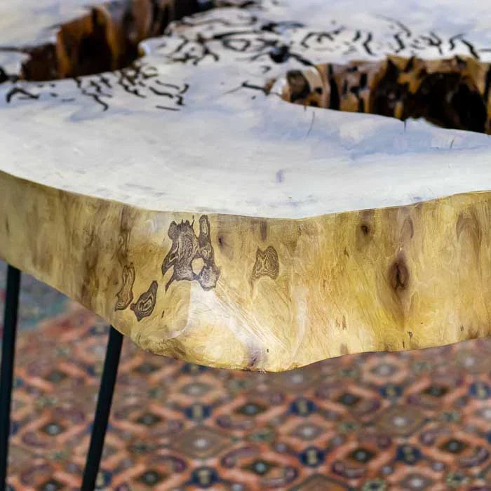 Peça de mobiliário artístico feita com tronco vazado e aparência orgânica, trazendo presença marcante à decoração