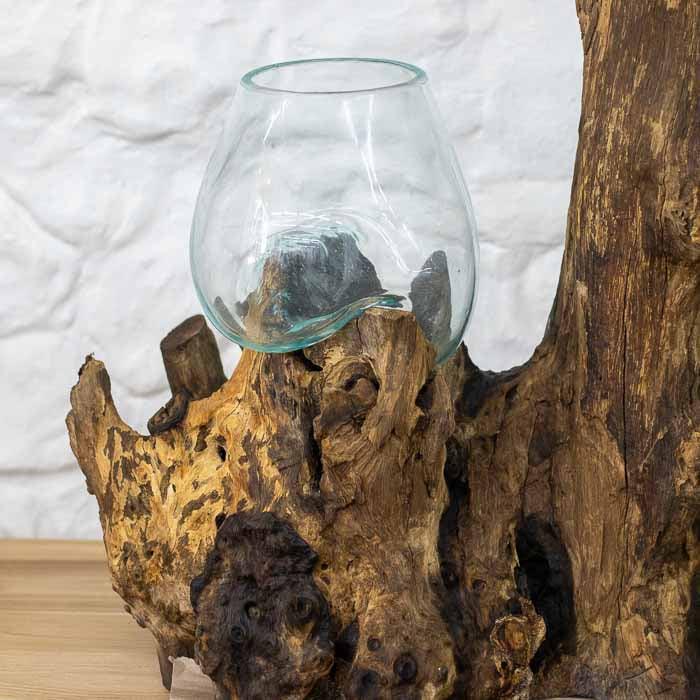 Terrário duplo de vidro transparente fundido sob medida nos contornos e nós de uma raiz maciça de Teca.