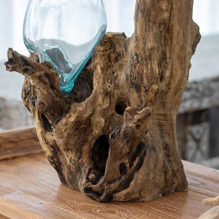 Vaso terrário duplo artesanal de Bali composto por dois recipientes de vidro soprado sobre tronco rústico, peça feita à mão que combina transparência, textura e design orgânico para ambientes elegantes e naturais.