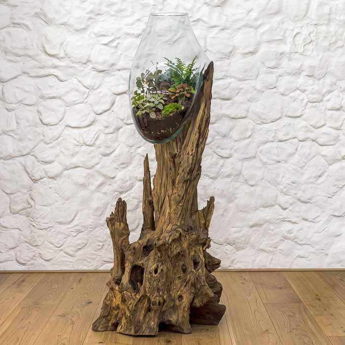 Aquário artesanal feito em Bali com vidro soprado sobre madeira natural de formato orgânico.