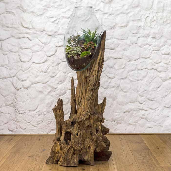 Aquário artesanal feito em Bali com vidro soprado sobre madeira natural de formato orgânico.