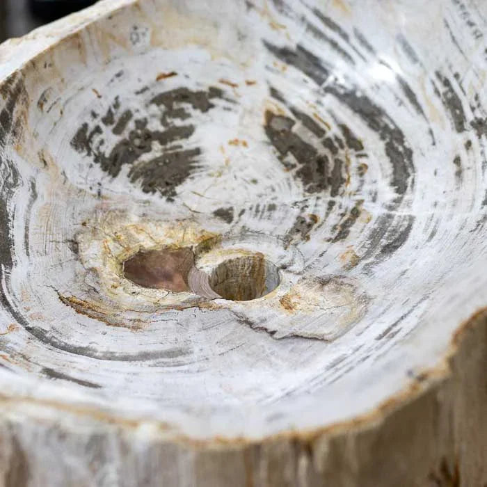 Objeto funcional feito à mão na Indonésia, com madeira fossilizada e acabamento polido.