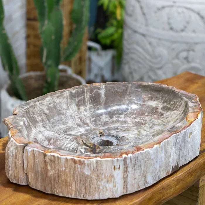 Peça decorativa e utilitária feita de madeira petrificada com formas únicas.