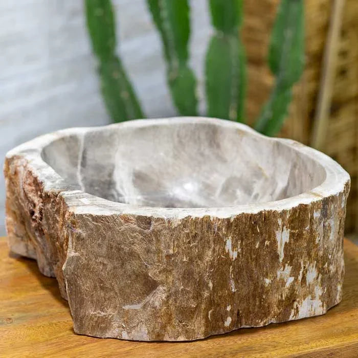 Cuba em madeira petrificada com design polido e formato fluido, feita à mão.