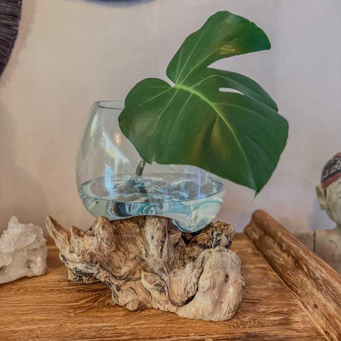 terrário vaso vidro tronco glass wood madeira teca teka artesão artesanato arte artista art decor decoração decorativo decoration