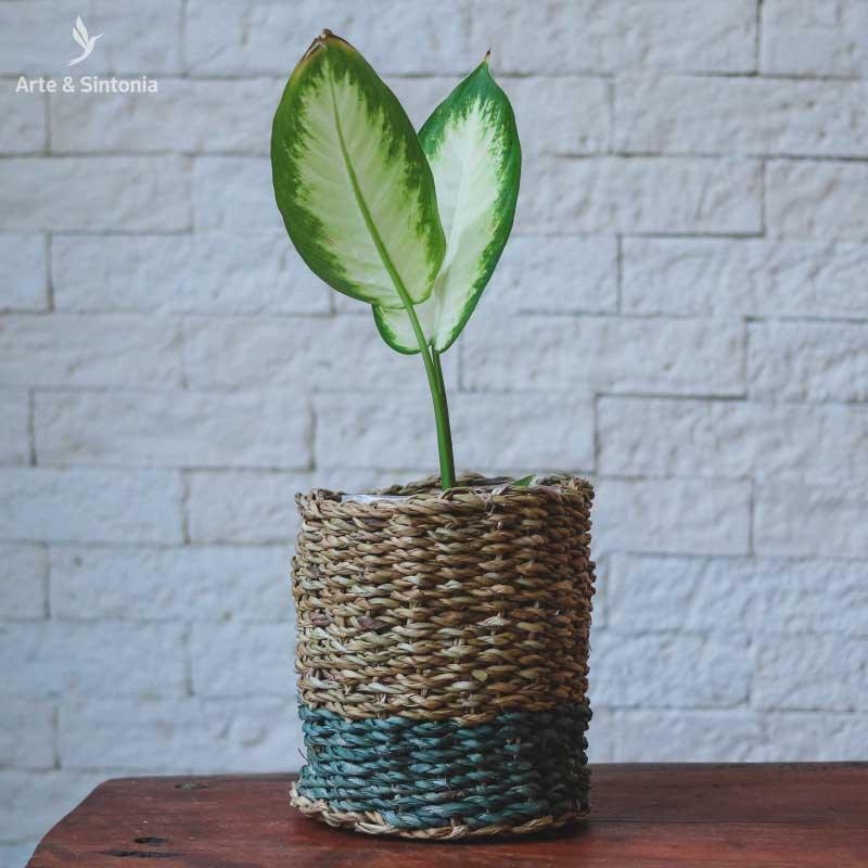 trio-vaso-ido-azul-gelo-erva-marinha-deshidratada-decorativo-home-decor-decoracao-garden-artesintonia-5