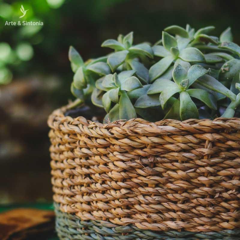 vaso-ido-azul-gelo-medio-home-decor-decorativo-decoracao-garden-jardin-artesintonia-8