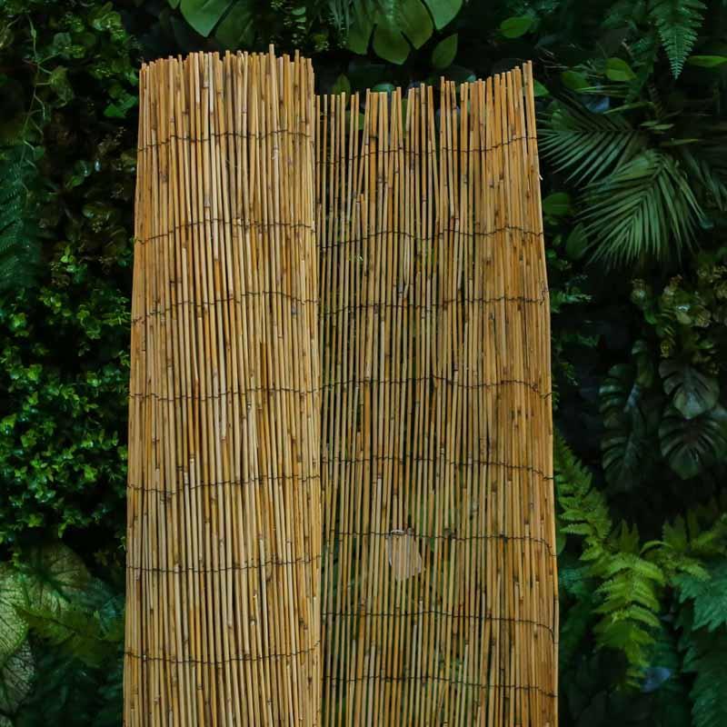 Painel de bambu indiano de 5 metros de comprimento posicionado em pé em ambiente iluminado.