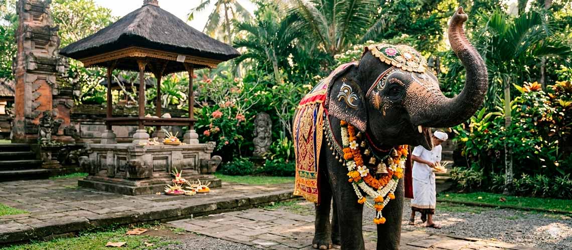 Elefante asiatico com tromba para cima para atrair sorte e prosperidade.