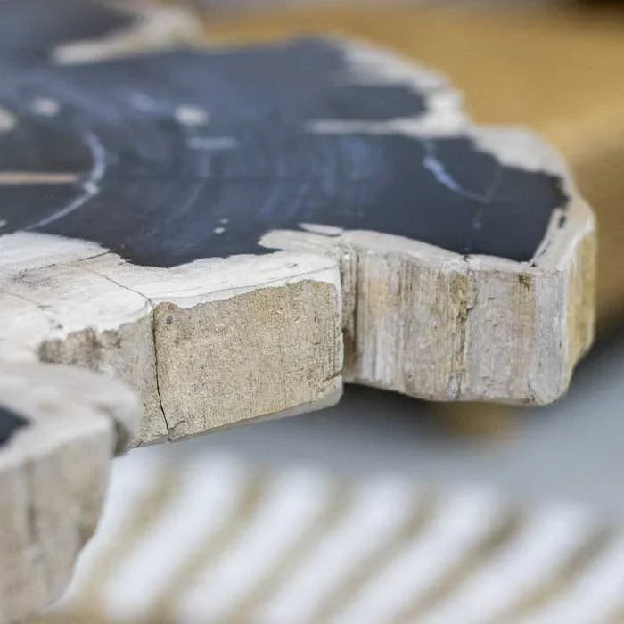 Tampo de madeira fóssil escura com base preta usado como mesa de centro artesanal ideal para composições naturais.