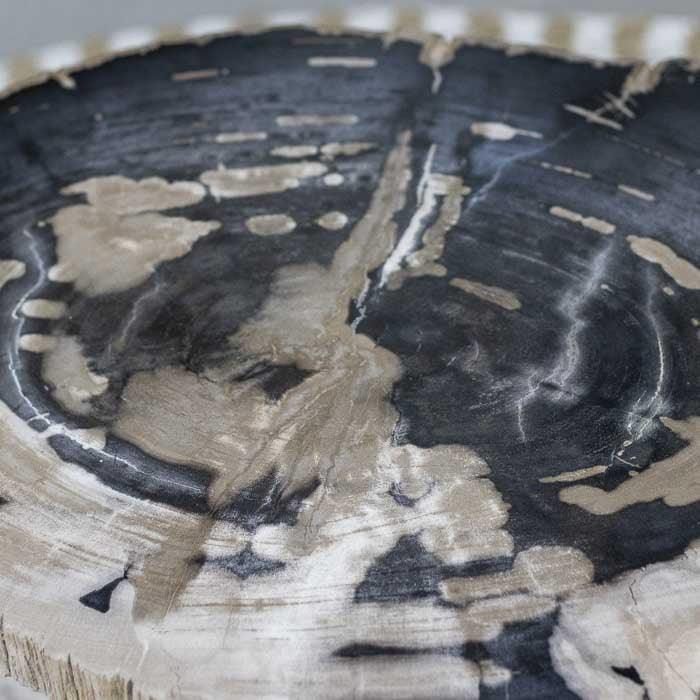 Mesa de centro petrificada em madeira escura com base preta usada para criar ambientes naturais e elegantes.