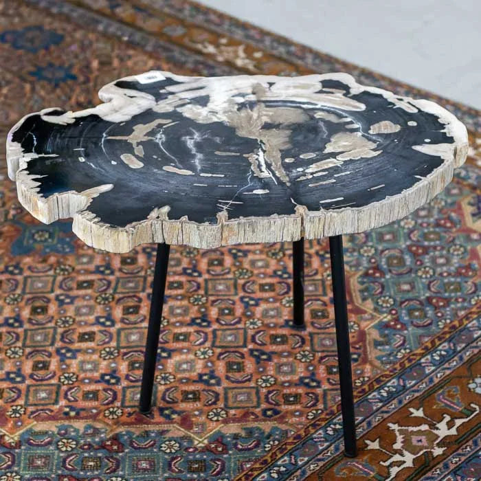 Mesa de centro petrificada em madeira escura com base preta usada para criar ambientes naturais e elegantes.