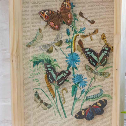 quadro box madeira acrilico borboletas natureza decoracao casa home loja artesintonia 02