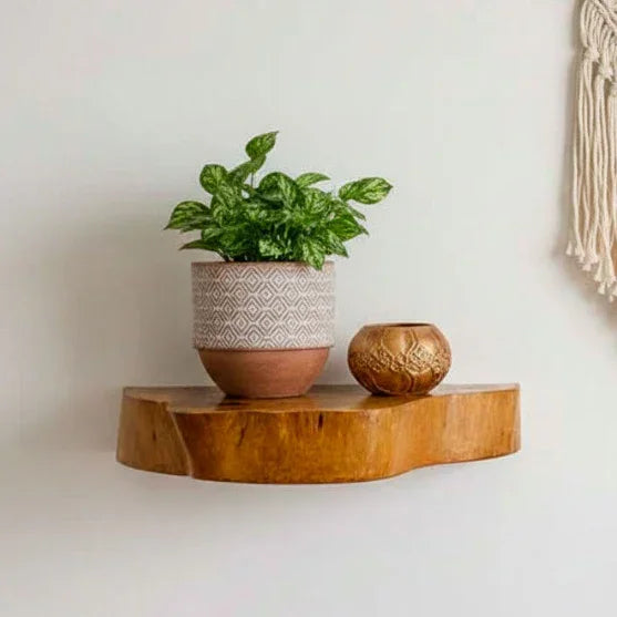 Prateleira artesanal em madeira maciça com borda orgânica natural  