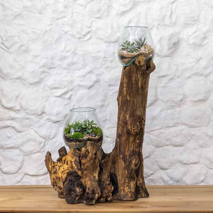 Vaso terrário duplo em vidro soprado moldado artesanalmente sobre tronco rústico de madeira Teca de Bali. 