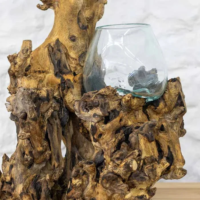 Vaso duplo de mesa em vidro soprado e madeira natural de Bali com pequenos ecossistemas vegetais internos. 