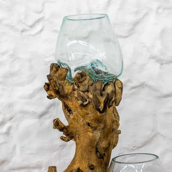 Terrário artesanal de vidro soprado em dois níveis sobre base de tronco de madeira Teca estilo wabi-sabi. 