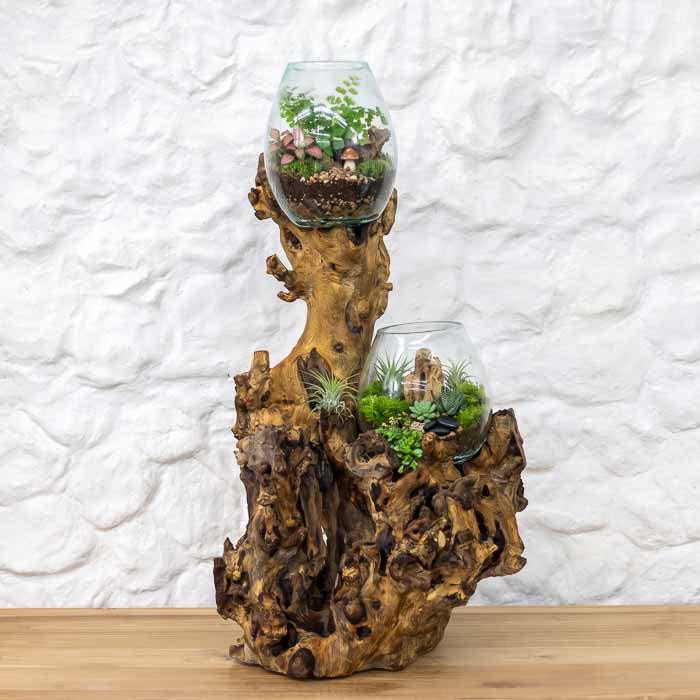 Escultura orgânica com dois recipientes de vidro soprado integrados perfeitamente a um tronco rústico de Teca. 
