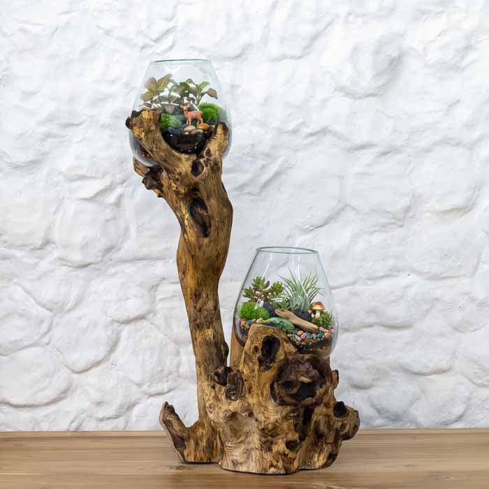 Aquário de água doce ou vaso decorativo duplo fundido em pedaço de raiz de Teca natural para salas e escritórios. 