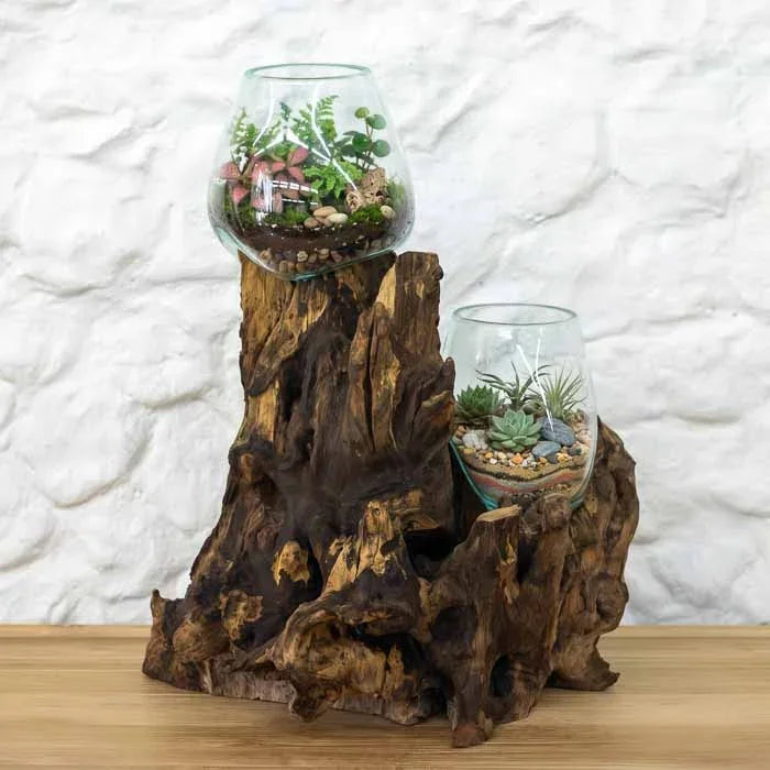 Vaso duplo artesanal de vidro reciclado e madeira nobre Teca com plantas tropicais e acabamento rústico. 