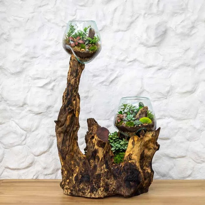 Escultura viva em vidro soprado e madeira maciça de Bali combinando biofilia, arte orgânica e design sustentável. 