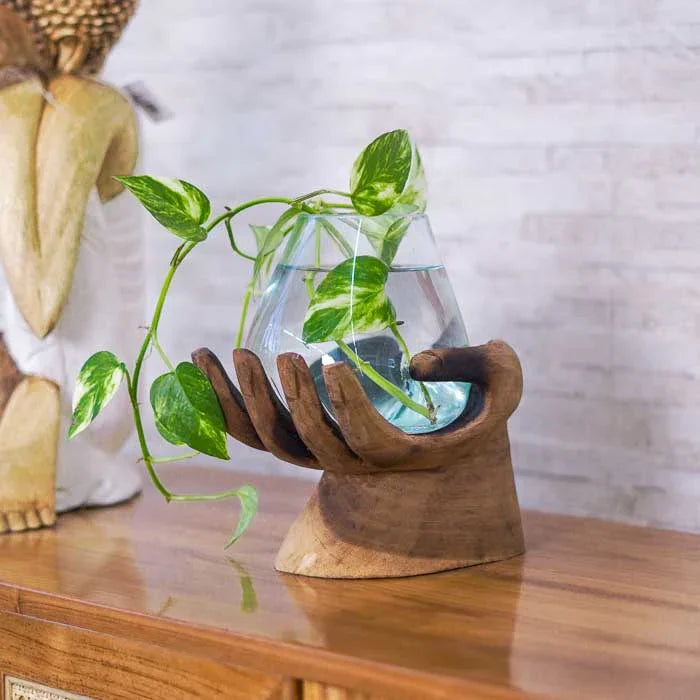 Terrário artístico feito com vidro soprado à mão, moldado em formato orgânico que remete à leveza e fluidez do material