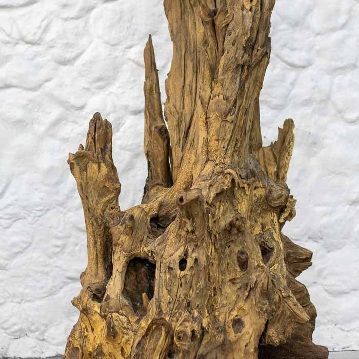 Aquário de mesa com design fluido e toque artesanal, perfeito para plantas ou água. 