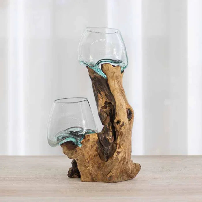 Mini jardim de suculentas em vasos de vidro soprado moldados em raiz de árvore.