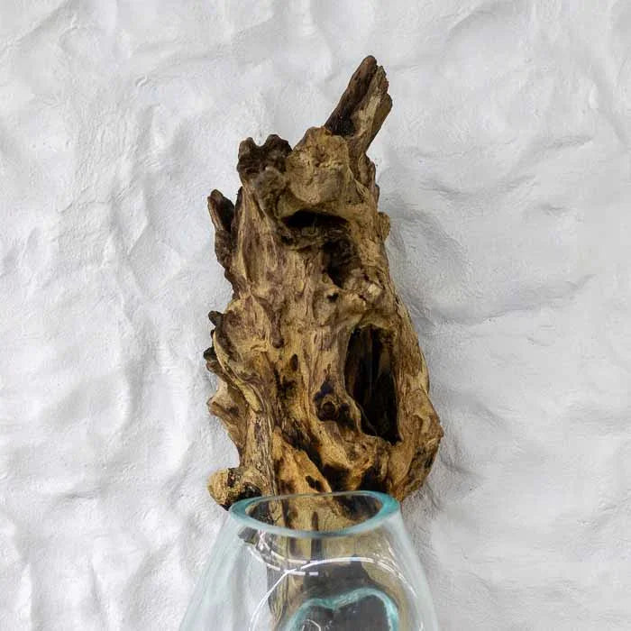 Detalhe tronco artesanal orgânico do terrário com vidro soprado.