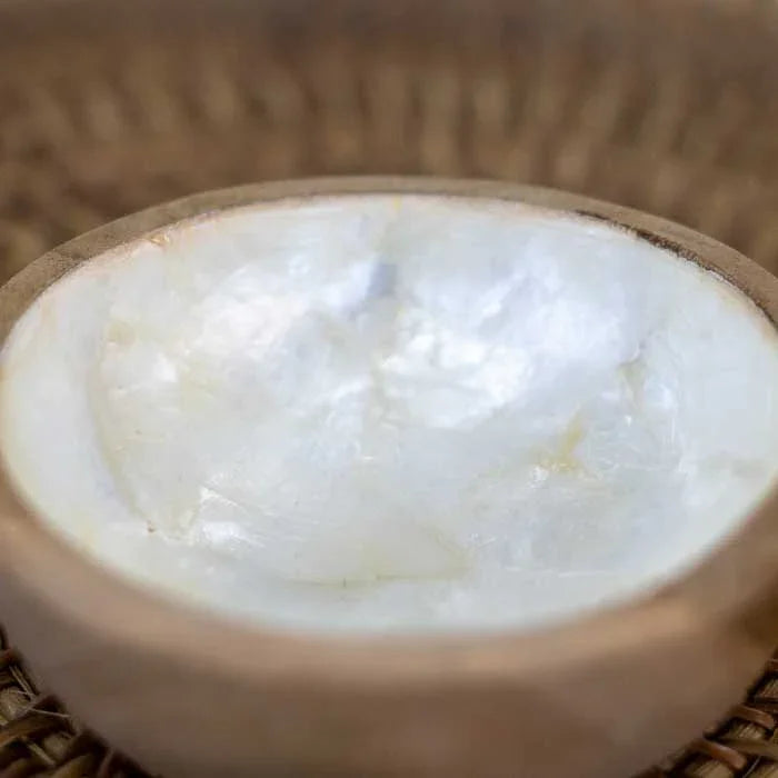 Bowl de Madrepérola com 4cm de altura, ideal para joias, temperos ou organização.