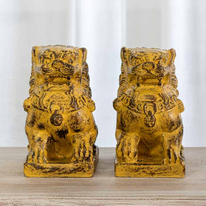 Par de Leões Fu em fibrocimento patinado amarelo e preto.