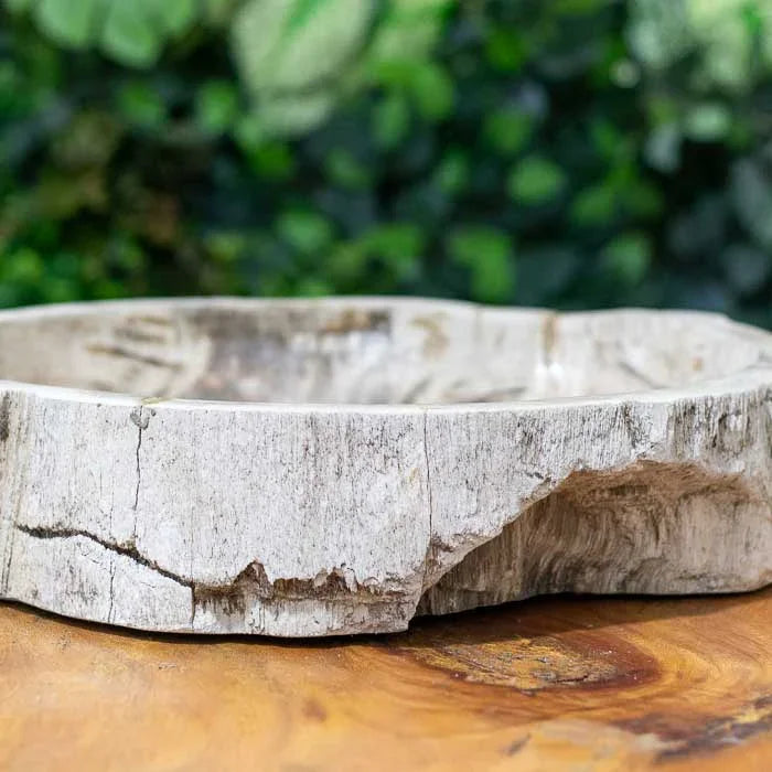 Objeto de banheiro exclusivo em madeira fossilizada com toque artesanal e presença forte. 