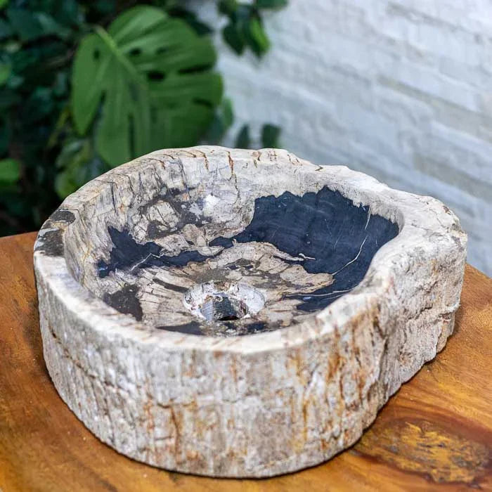 Peça esculpida em madeira petrificada com detalhes naturais e curvas suaves. 