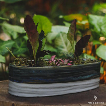 vaso-cumprido-decorativo-home-decor-decoracao-jardim-garden-casa-artesintoniia-jardineira-bacia-ceramica