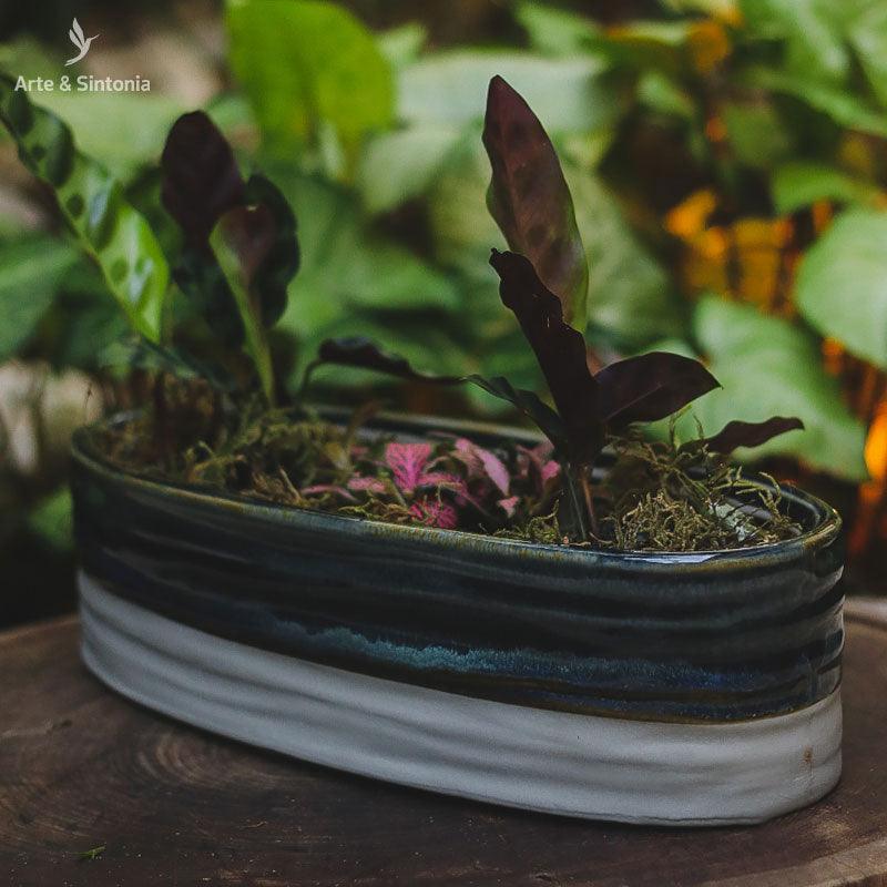 vaso-cumprido-decorativo-home-decor-decoracao-jardim-garden-casa-artesintoniia-jardineira-bacia-ceramica-flor-flores-casa