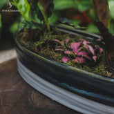 vaso-cumprido-decorativo-home-decor-decoracao-jardim-garden-casa-artesintoniia-jardineira-bacia-ceramica-nature-natureza