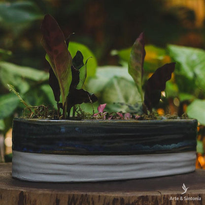 vaso-cumprido-decorativo-home-decor-decoracao-jardim-garden-casa-artesintoniia-jardineira-bacia-ceramica-cachepot