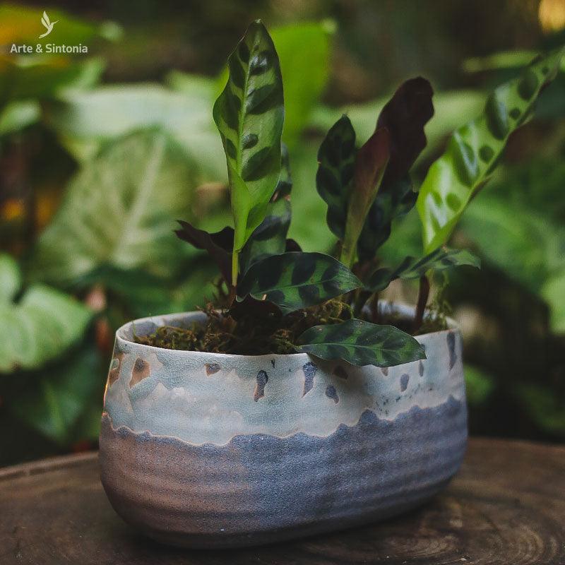 vaso-cumprido-pequeno-decorativo-home-decor-decoracao-jardim-garden-casa-artesintonia-vaso-jardineira-bacia-rustico