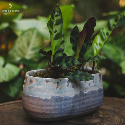 vaso-cumprido-pequeno-decorativo-home-decor-decoracao-jardim-garden-casa-artesintonia-vaso-jardineira-bacia-rustico