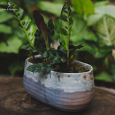 vaso-cumprido-pequeno-decorativo-home-decor-decoracao-jardim-garden-casa-artesintonia-vaso-jardineira-bacia-rustico-envelhecido-rustic