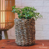 trio-vaso-ido-natural-home-decor-decorativo-decoracao-garden-artesintonia-5