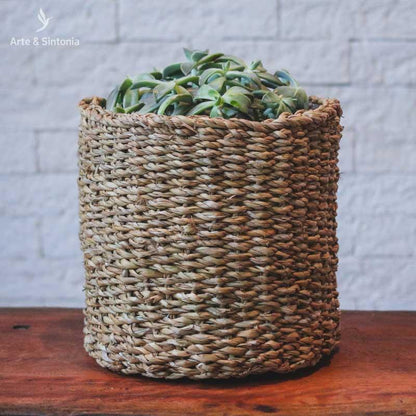 cestaria para vasos plantas plantinhas decoracao fibras naturais fibra natural artesintonia fiber artesintonia 3