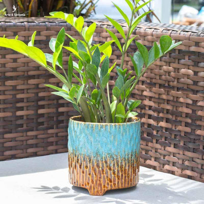 vasos cachepots ceramica decorativos plantas suculentas decoracao garden casa living urban jungle potinhos decorativos artesanais artesanatos artesintonia 4