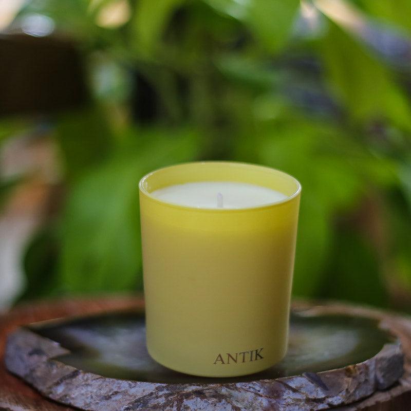 vela aromática velas perfume aroma limão siciliano verbena verbenna antik la façon