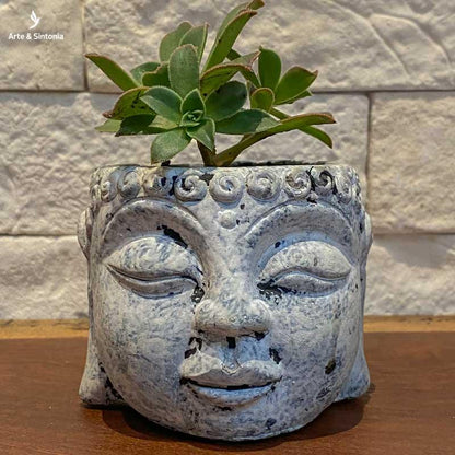 vaso dian cimento buddha buda decoracao plantas plantinhas jungle home casa suculentas vasinhos artesintonia decoracoes 3